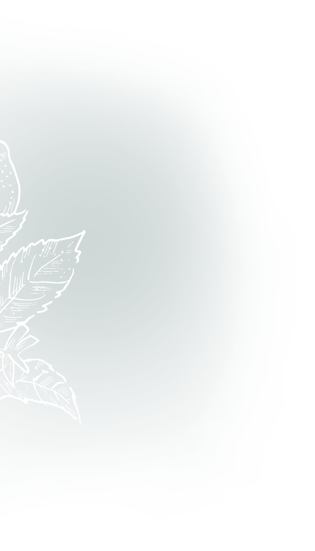 A dark teal background with irregular, torn-paper-like white edges, featuring a white line drawing of strawberry leaves and a partially visible strawberry on the left.